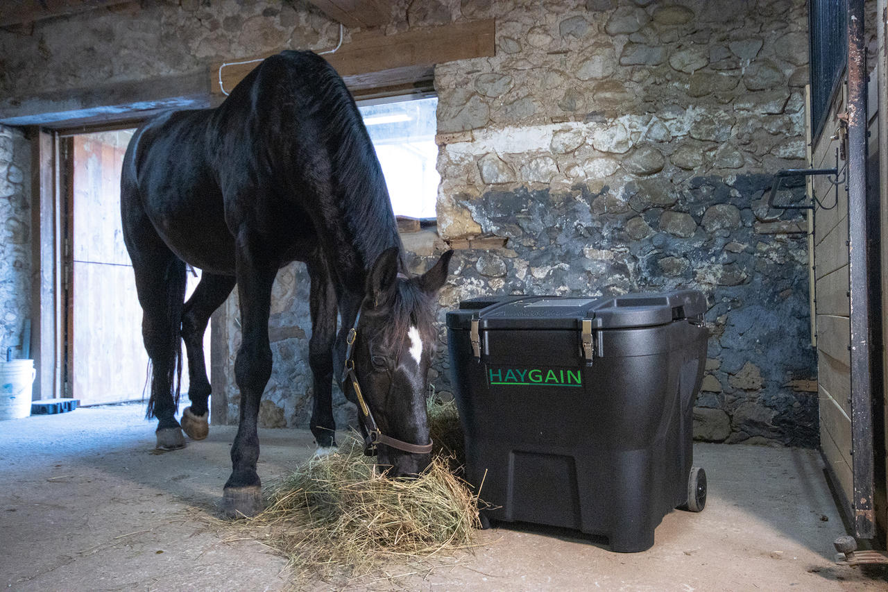 HAYGAIN HG 600 Hay Steamer