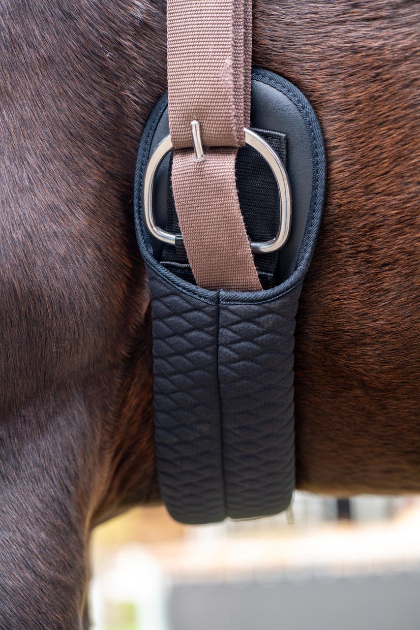 LAMI-CELL Sottopancia western V22 dritto