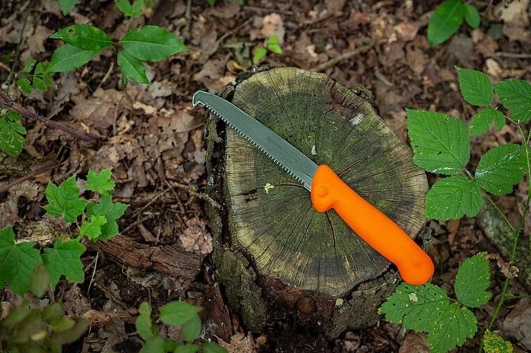 Dick Scie à os de chasse, 15 cm