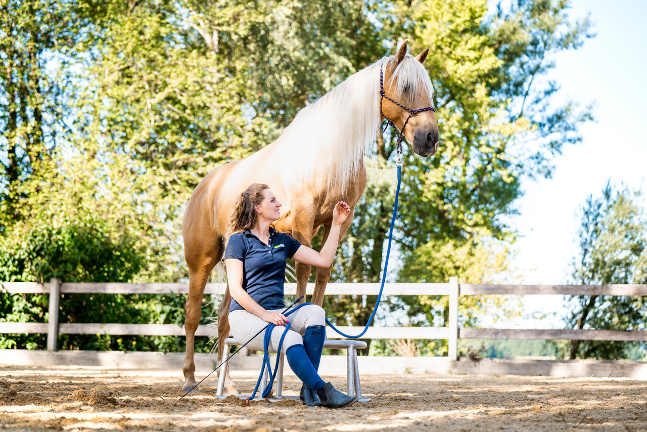 Corda Westernrope con moschettone