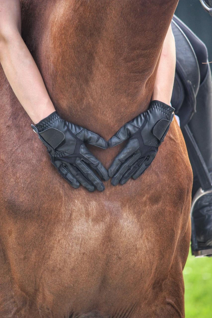 uvex Guanti da equitazione ventraxion