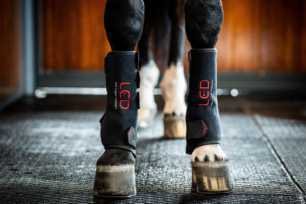 Horseware LED Red Light Therapy Leg Wrap
