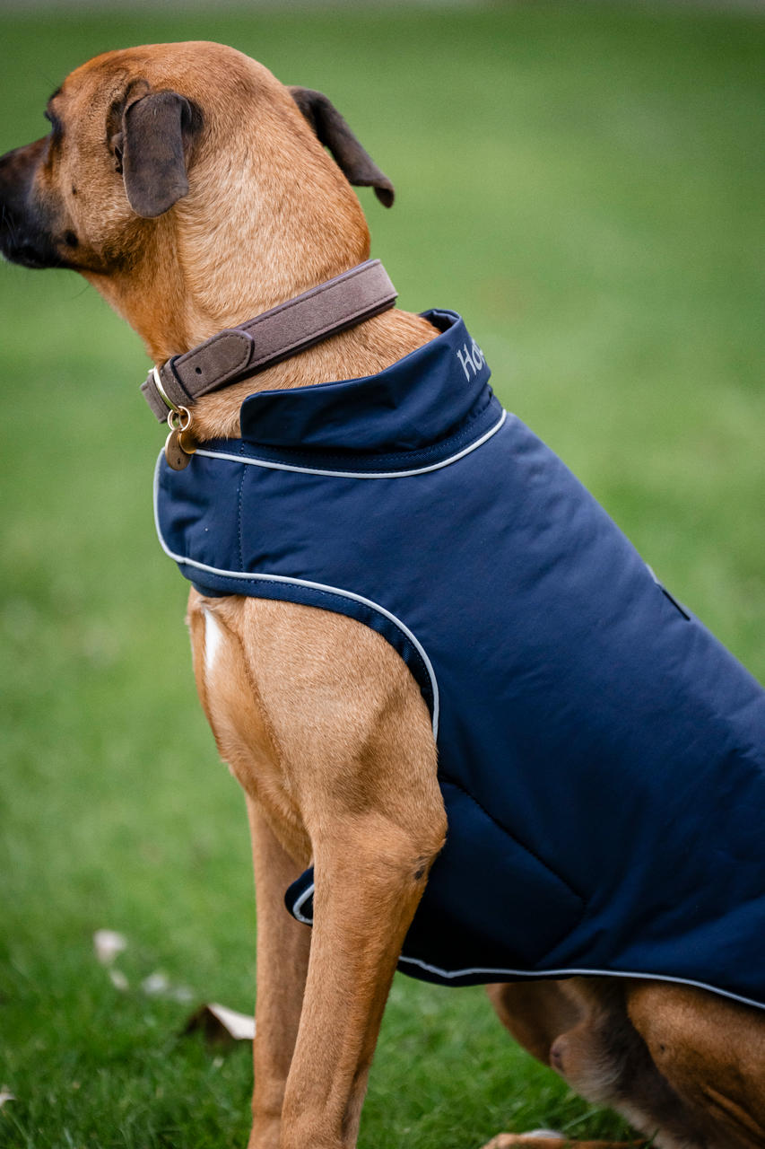 Horseware Signature Dog Rain Coat 100g