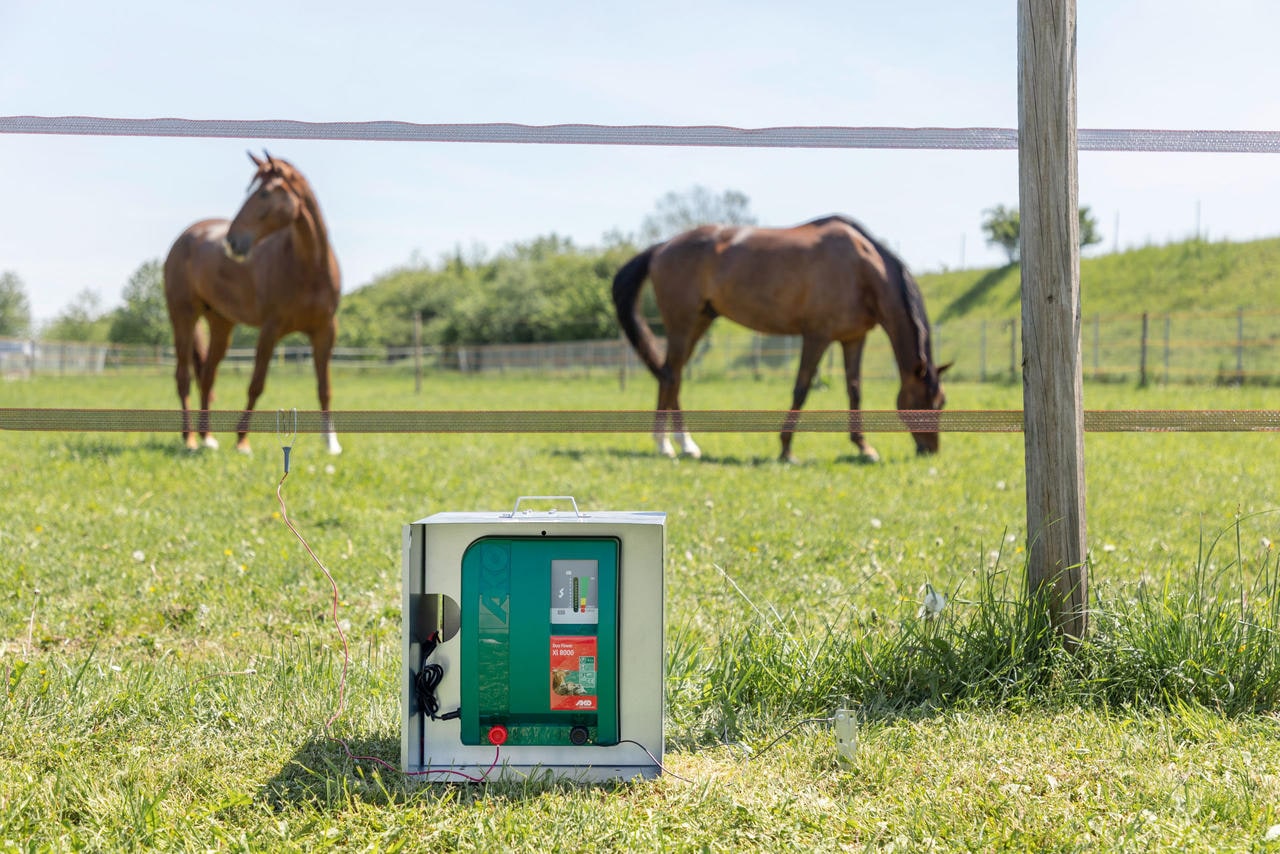AKO Duo Power Xi8000, energizzatore per recinzioni elettriche da 12/230 V