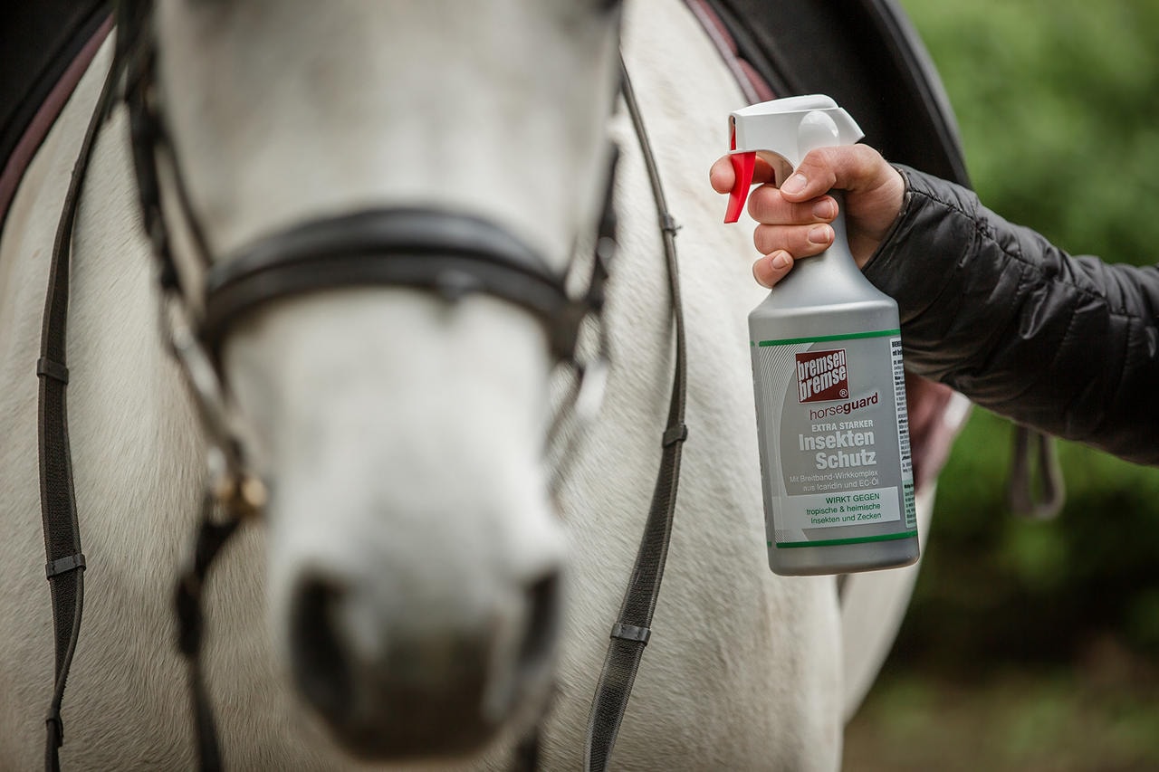 Zedan Insektenschutz - horseguard -