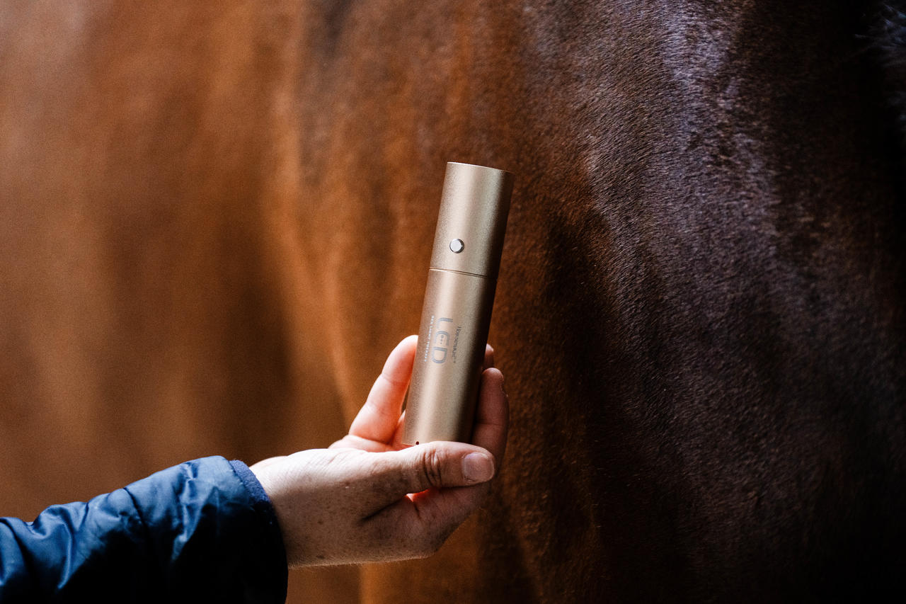 Horseware Dispositivo per terapia a luce rossa LED Horseware Dispositivo per terapia a luce rossa LED