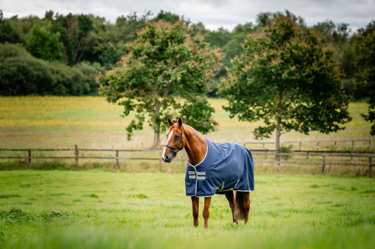 Horseware Amigo Ripstop 900D Turnout 200g