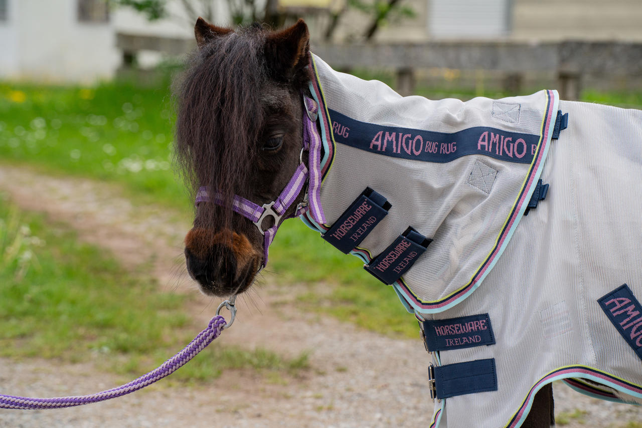 Horseware Coperta antimosche Amigo Bug Rug Plus Petite