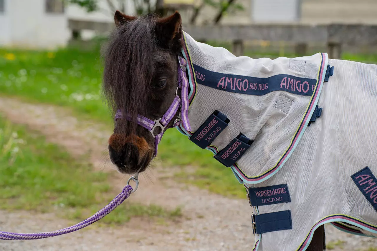 Horseware Amigo Bug Rug Plus Petite