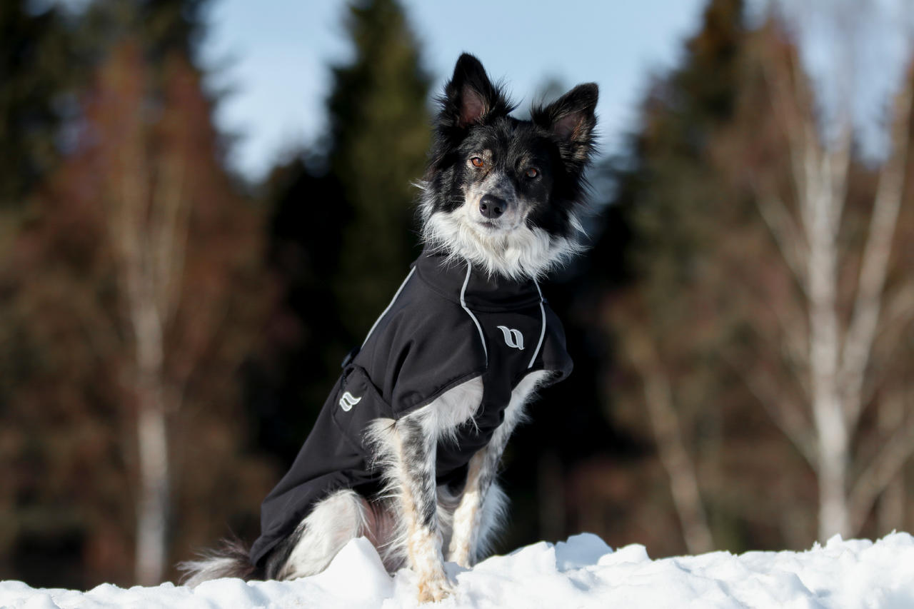 Back on Track Cappotto per cani Bark Allround