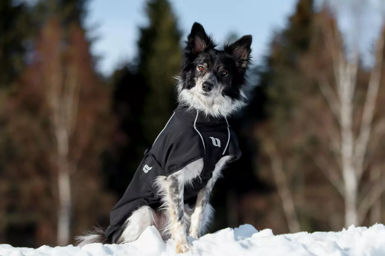 Back on Track Bark Allround Hundemantel