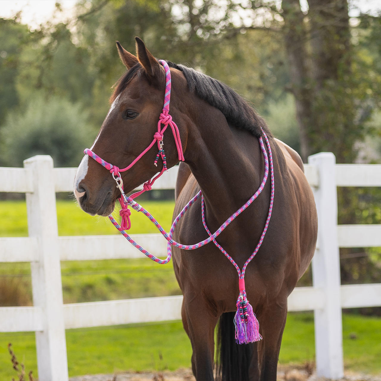 QHP Knotenhalfter Set Liberty