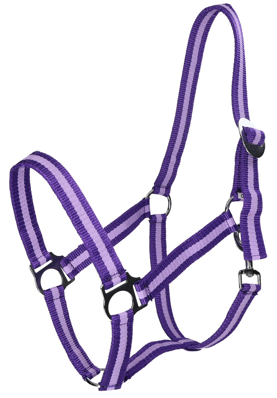 WAHL-Hausmarke HoldMe Halfter