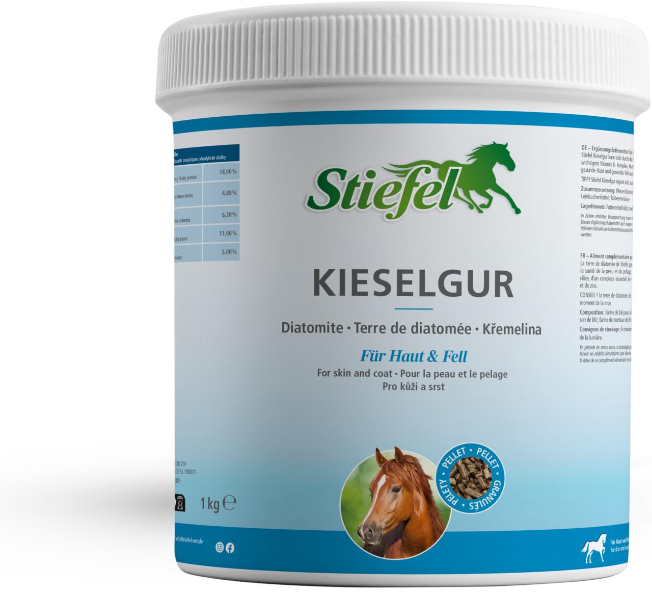 Stiefel Kieselgur 1 kg