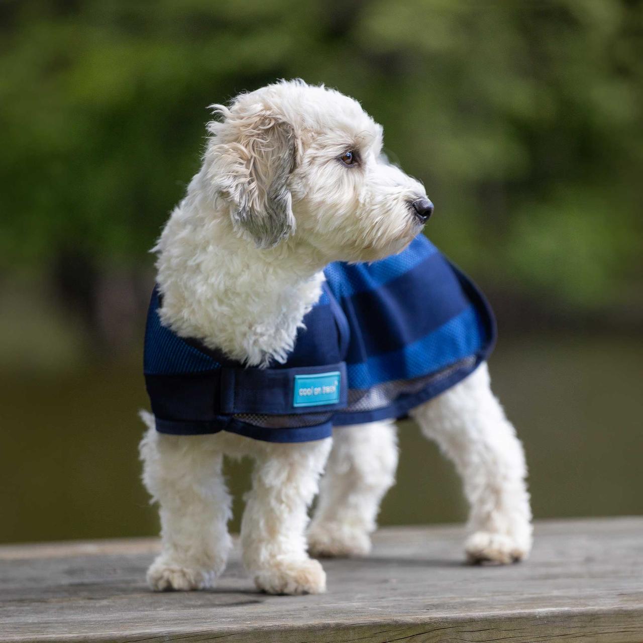 Cool on Track Cooling Hundemantel 2.0