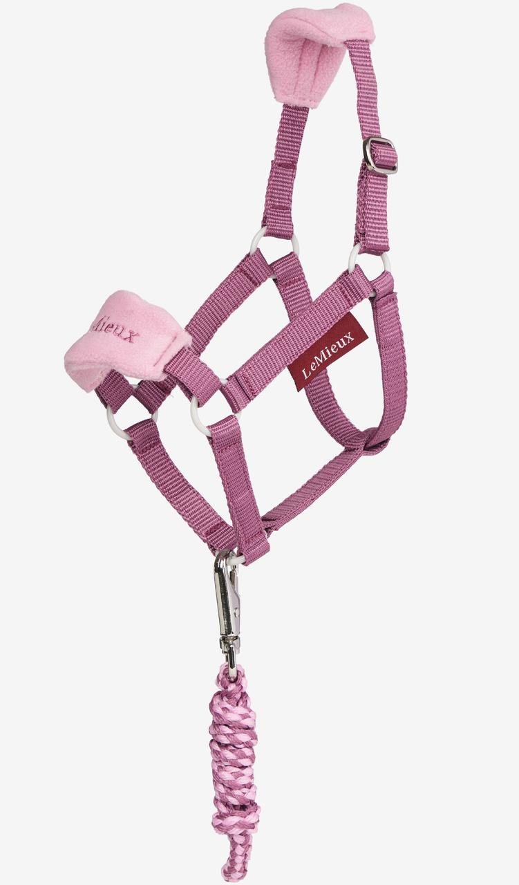 LeMieux Hobby Horse Vogue licol et longe de présentation