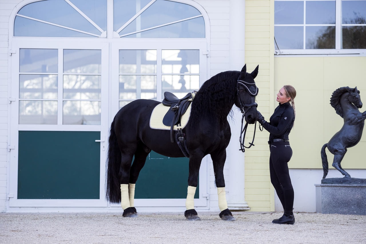 Eskadron Bandes de travail FLEECE Basics