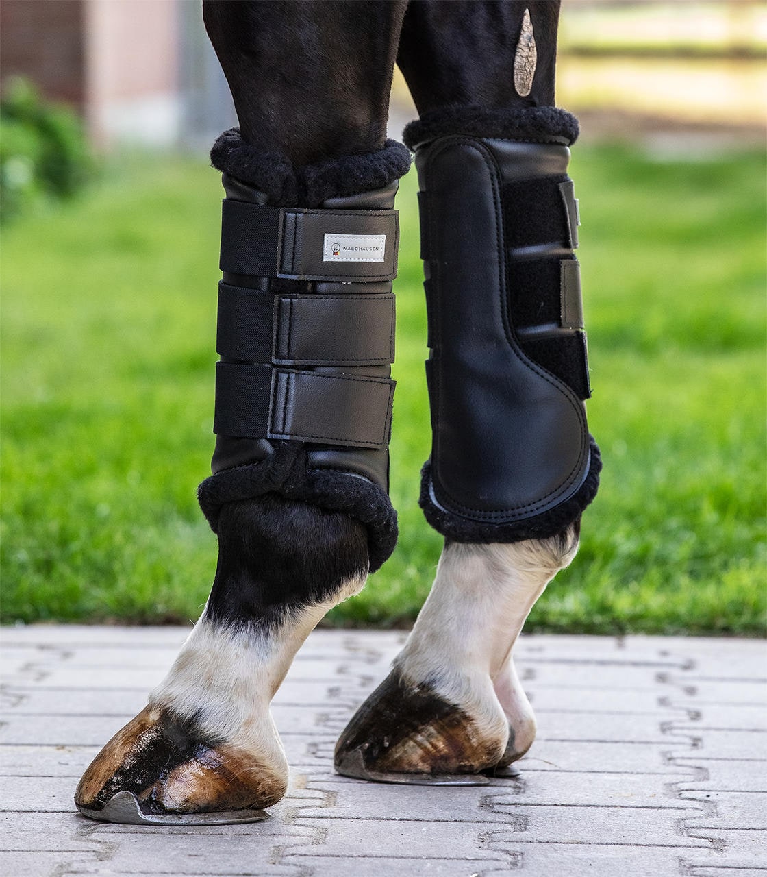 Waldhausen Stinchiere da dressage morbidi