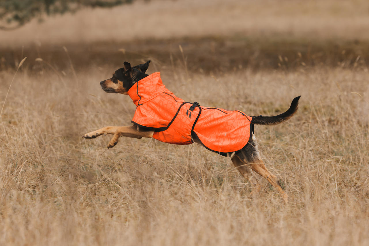 Back on Track Bark Allround Hundemantel