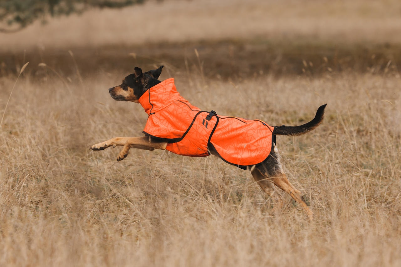 Back on Track Bark Allround Hundemantel