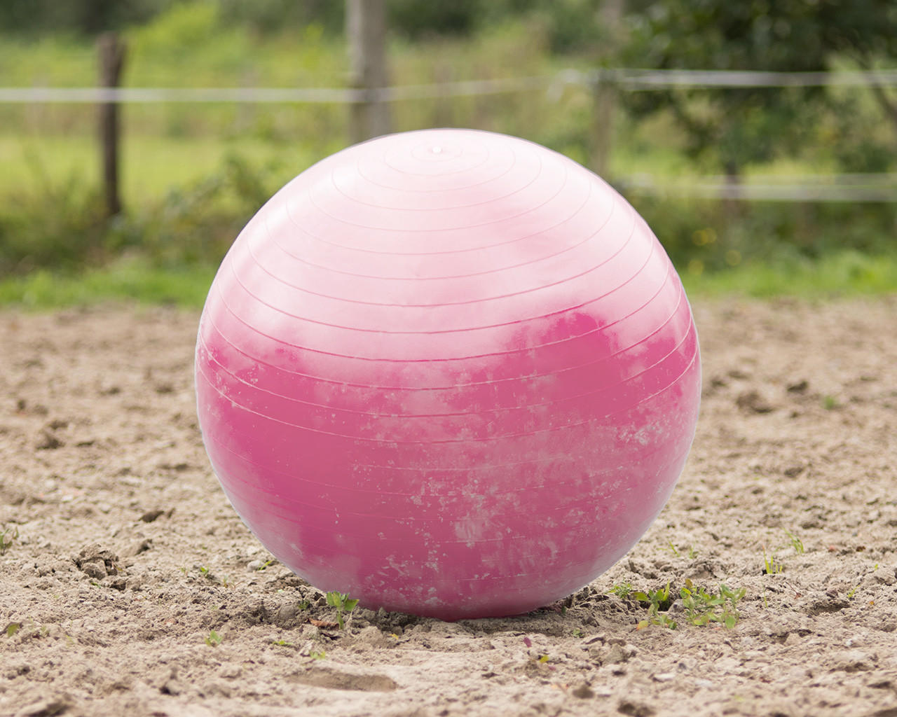 QHP Pferdefussball QHP Pferdefussball