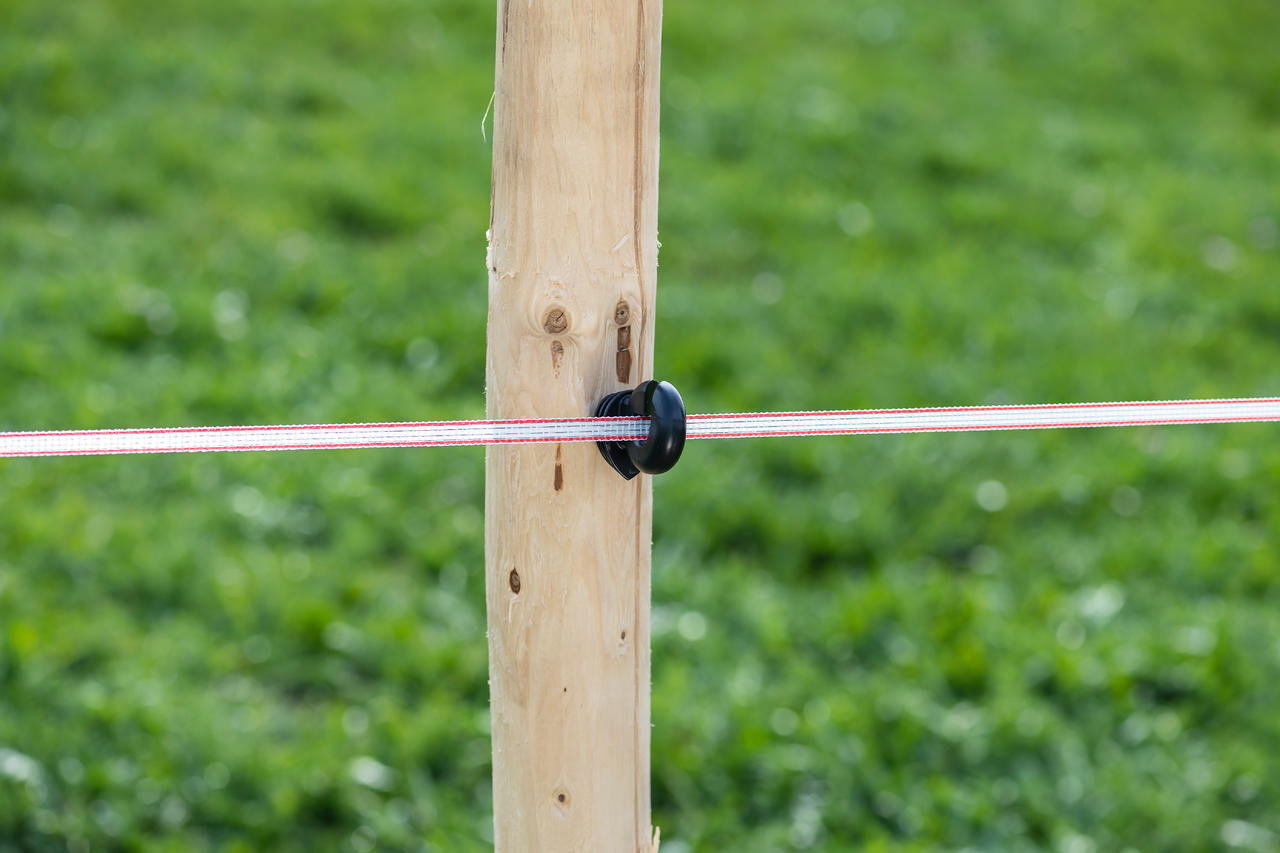 WAHL-FENCE Nastro di recinzione per pascoli SUPRA 200 m / 10 mm