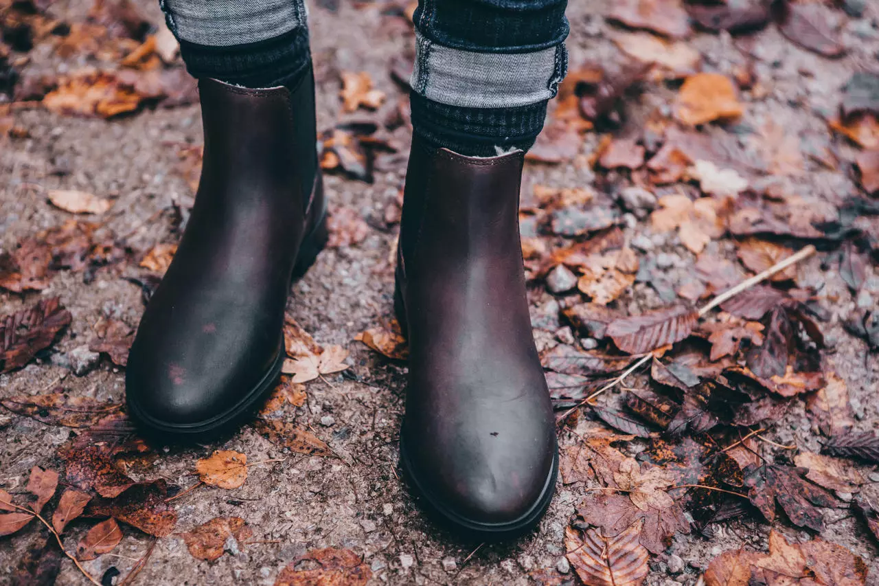Suedwind Reitstiefelette Nova Jodhpur Classic