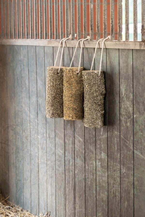 Gioco masticabile in legno "Metabolico"