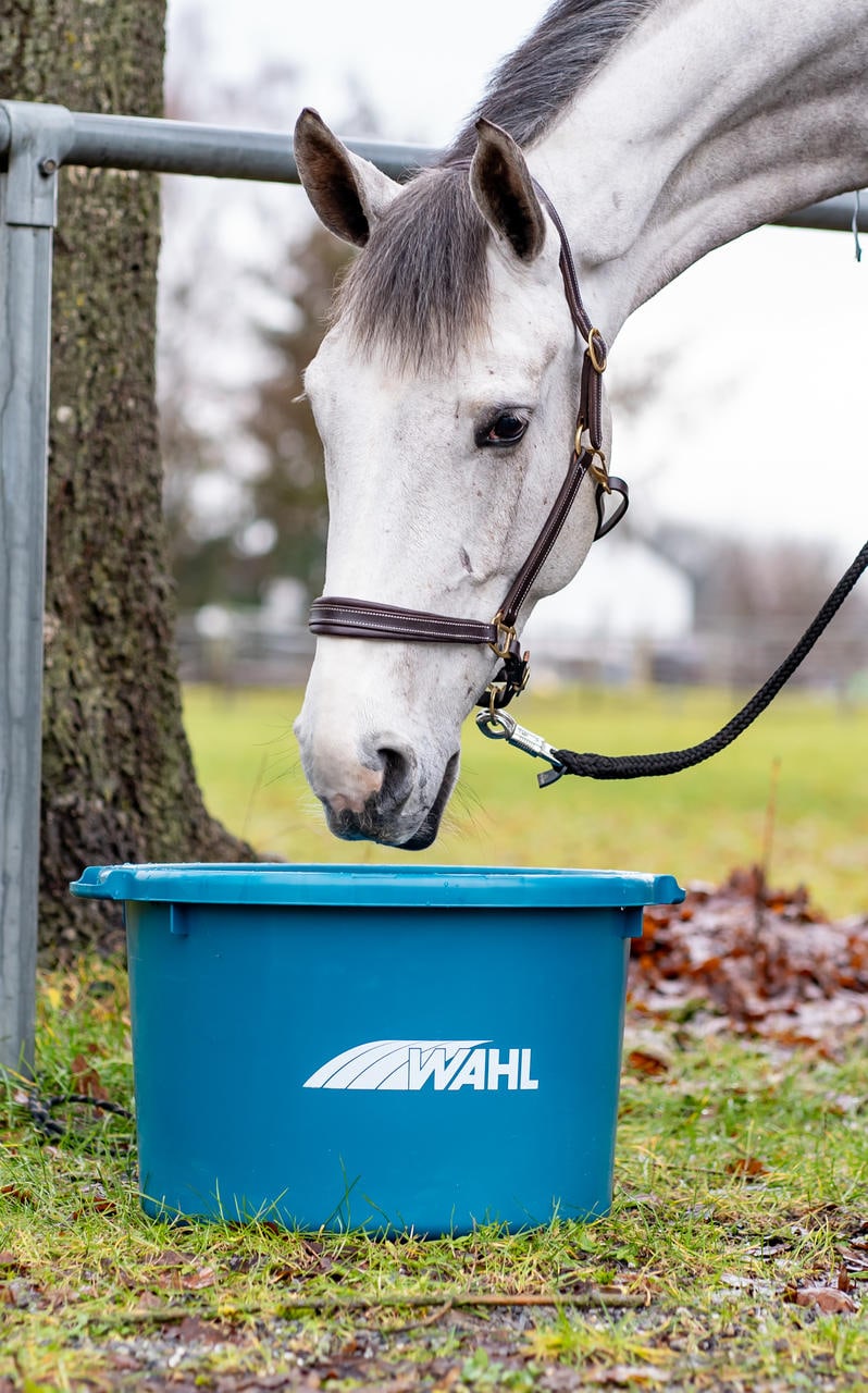 WAHL-Hausmarke Abbeveratoio per acqua e mangime - 60 litri