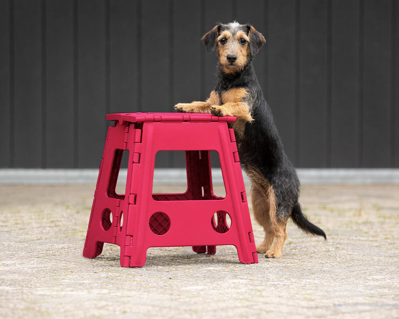 QHP Sgabello step-up