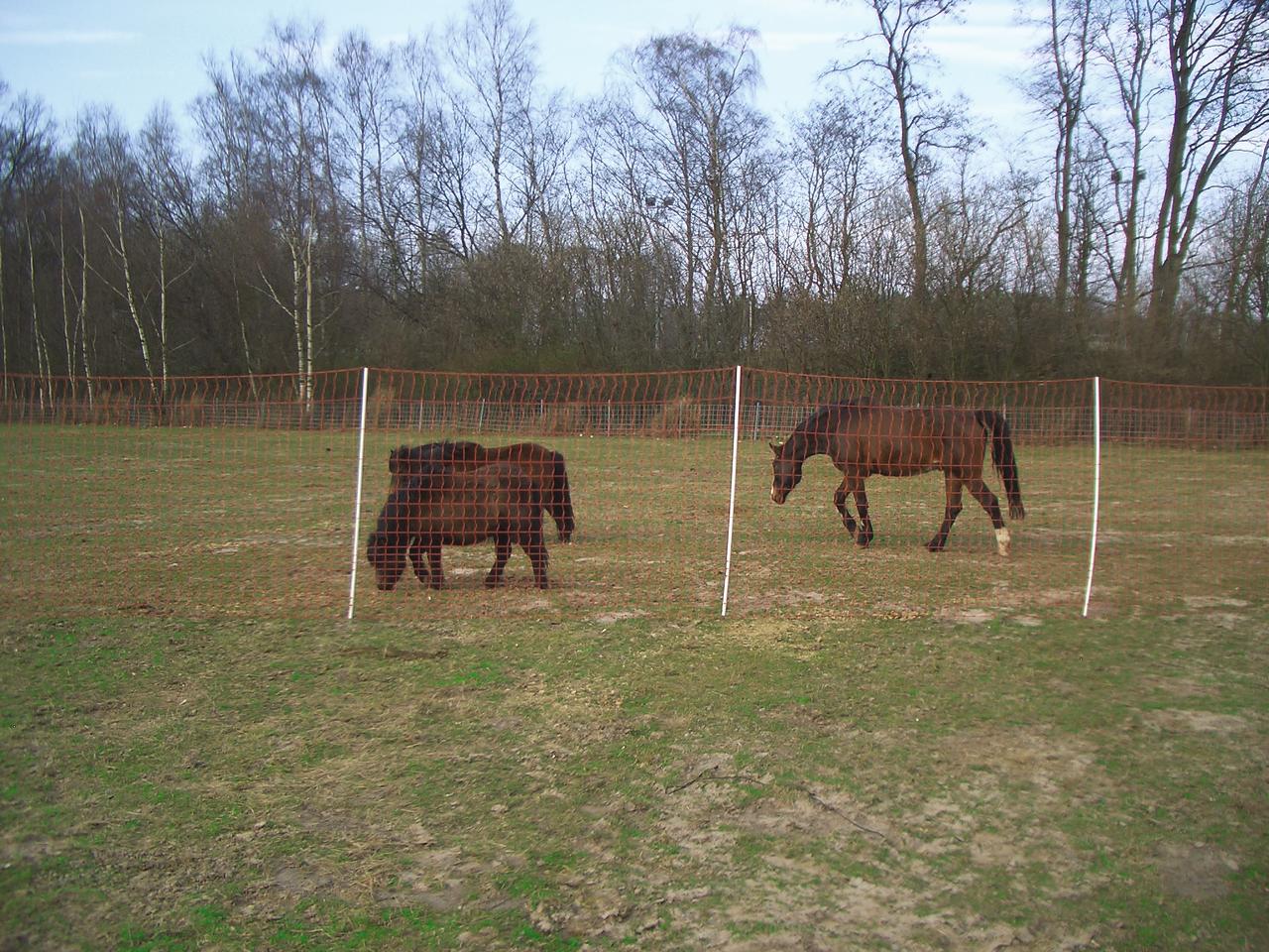 Göbel Euro Mustang – rete per cavalli, alta 145 cm