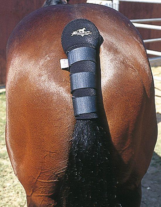 Professional's Choice Tail Wrap
