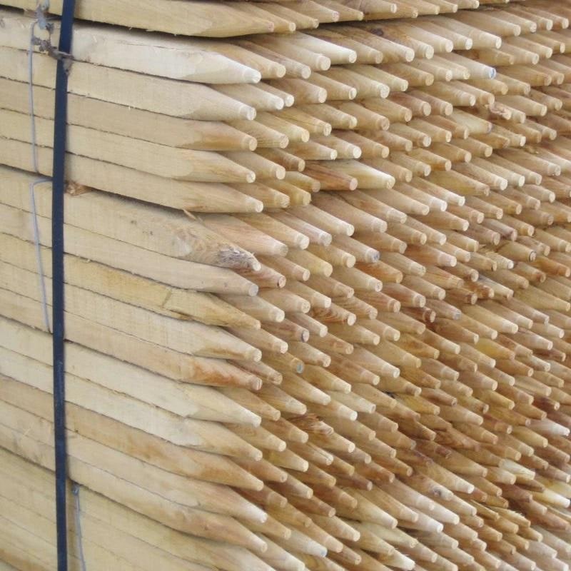 witasek Picchetto in acacia 1500 x 22 x 22 mm