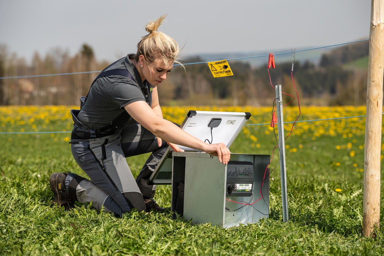 AKO Cassetta metallica per batterie per elettrificatori da 12 V