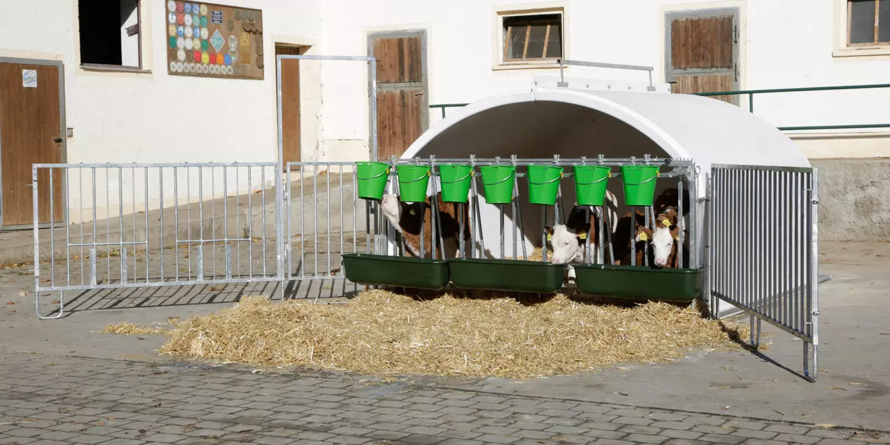 Kerbl CalfHouse Premium XXL ohne Umzäunung