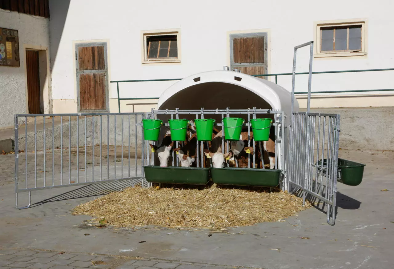 Kerbl Kälberiglu - Calfhouse Premium XL