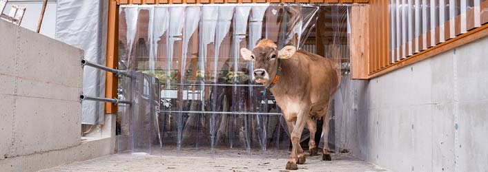 mobil_Stallklima_lang