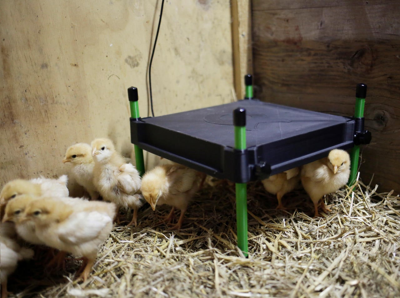 Kerbl Plaque chauffante CosyHeat pour poussins - 50W