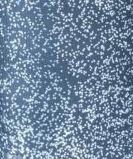 tiefblau/lucky