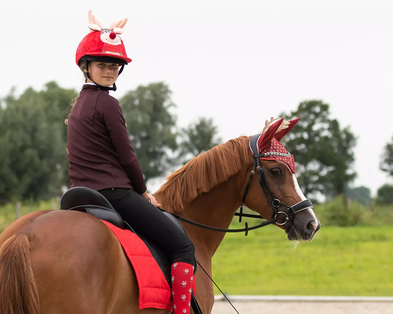 QHP Reithelm-Überzug Rudolf