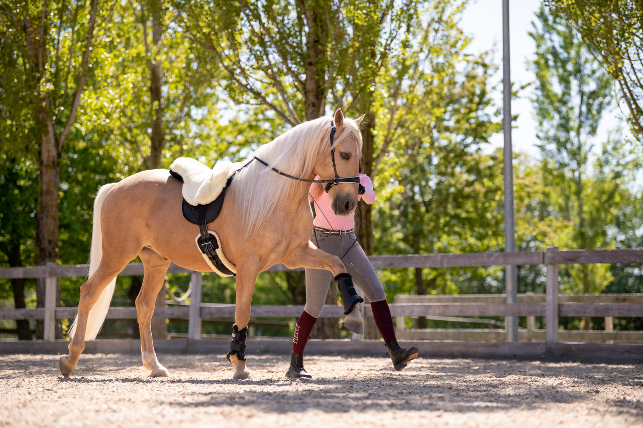 Waldhausen Stinchiere da dressage morbidi