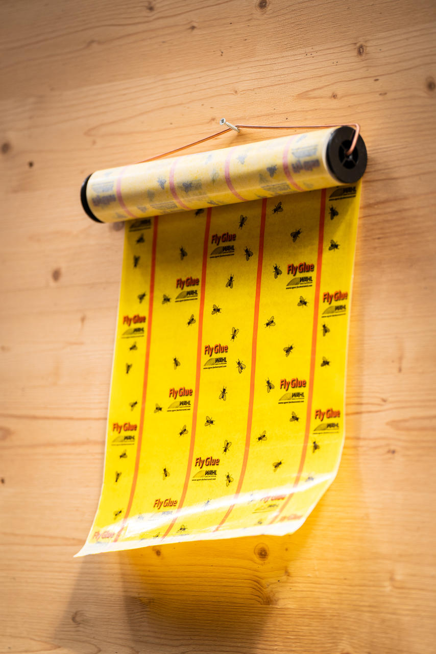 WAHL-Hausmarke Rotolo antimosche FlyGlue