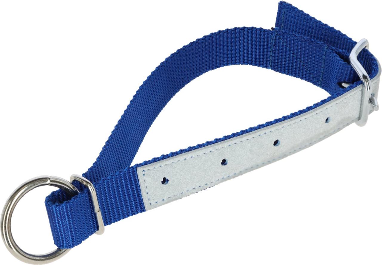 HALSRIEMEN fr Schafe, 60cm  Farbe: blau