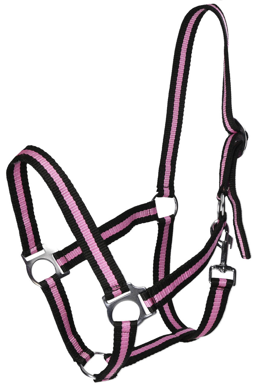 WAHL-Hausmarke HoldMe Halfter