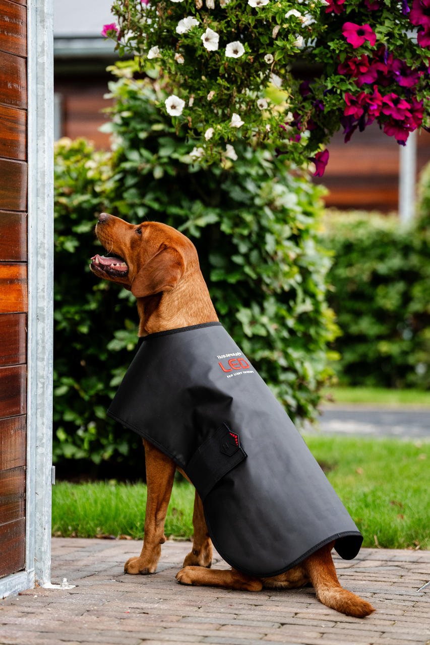 Horseware Cappottino per animali domestici con terapia a luce rossa Horseware Cappottino per animali domestici con terapia a luce rossa