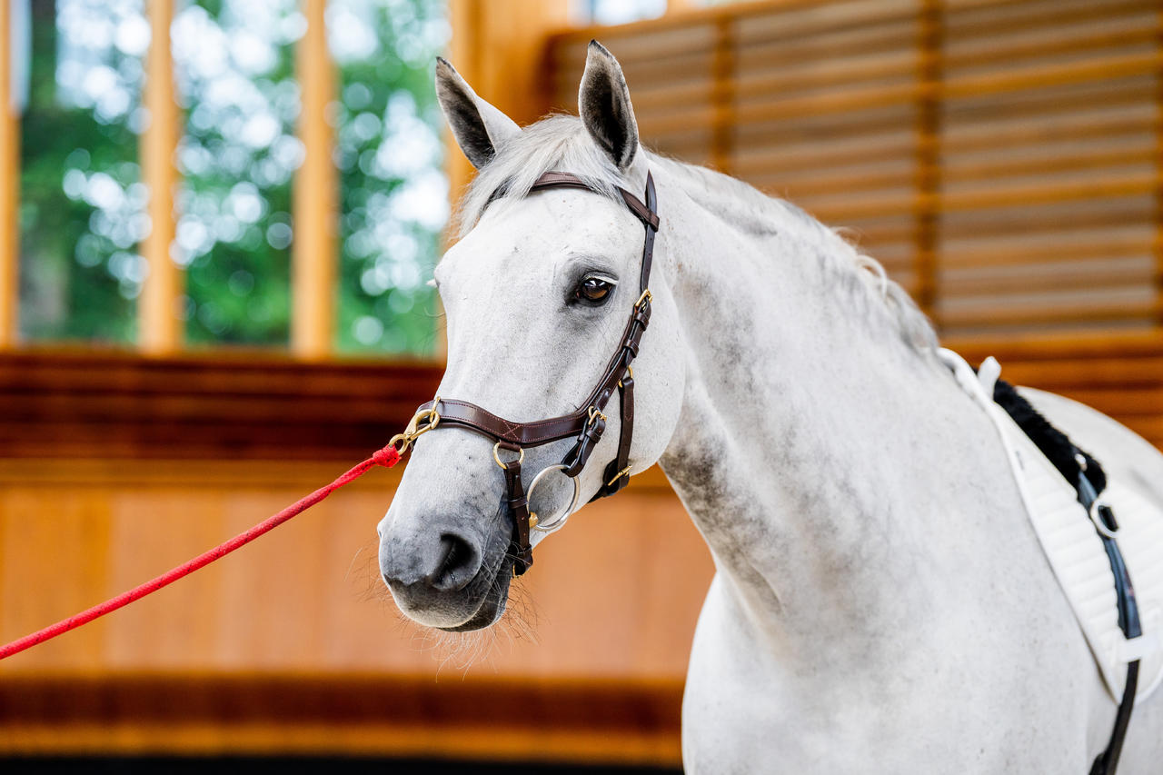 Horseware Briglia multiuso Micklem 2