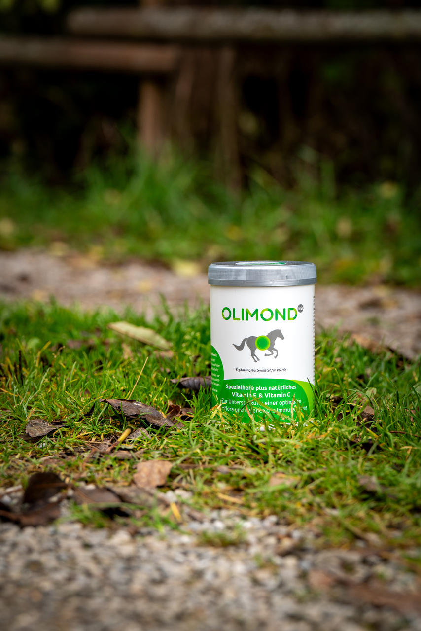 OLIMOND Olimond BB