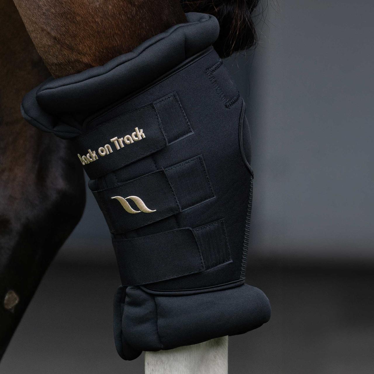 Back on Track Royal Ankle Protector Deluxe