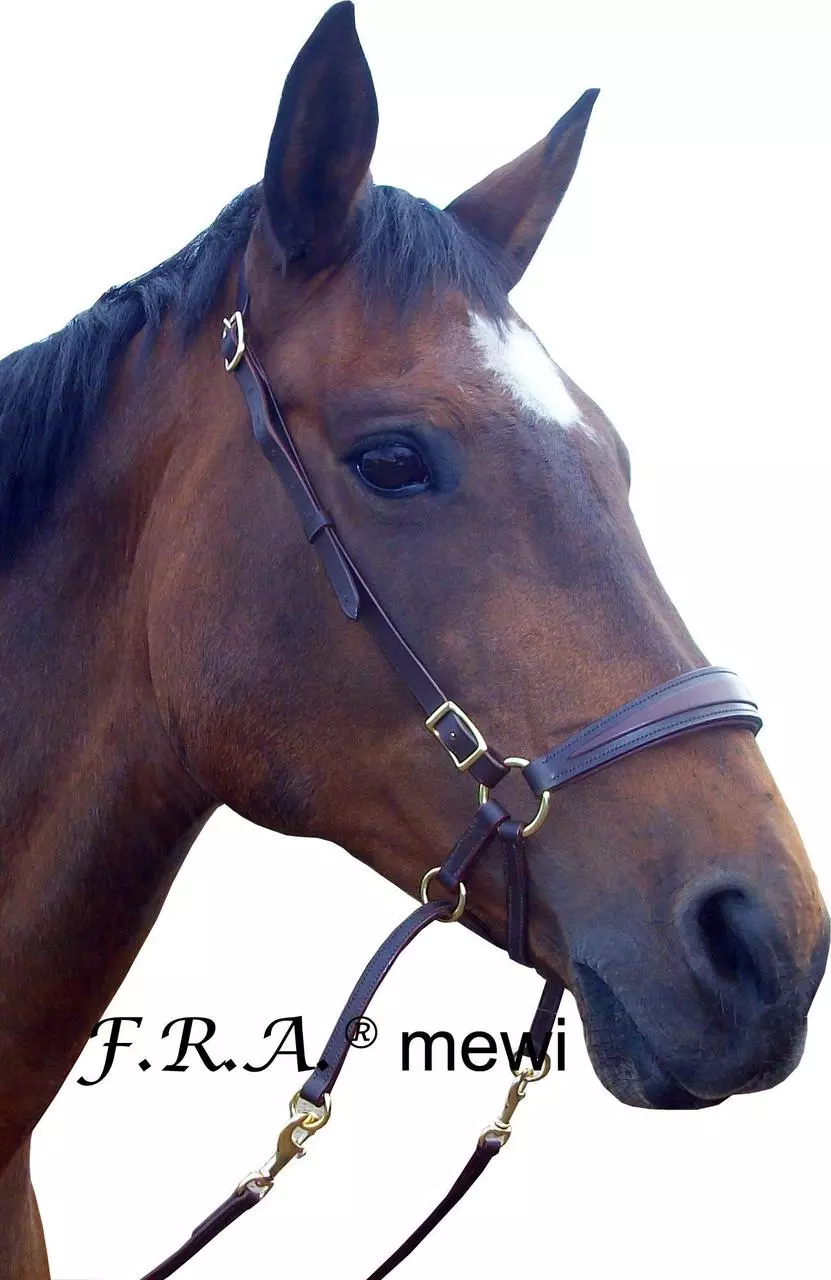 F.R.A. Gebissloser Zaum mewi