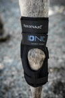 Horseware Ionic Hock Boots